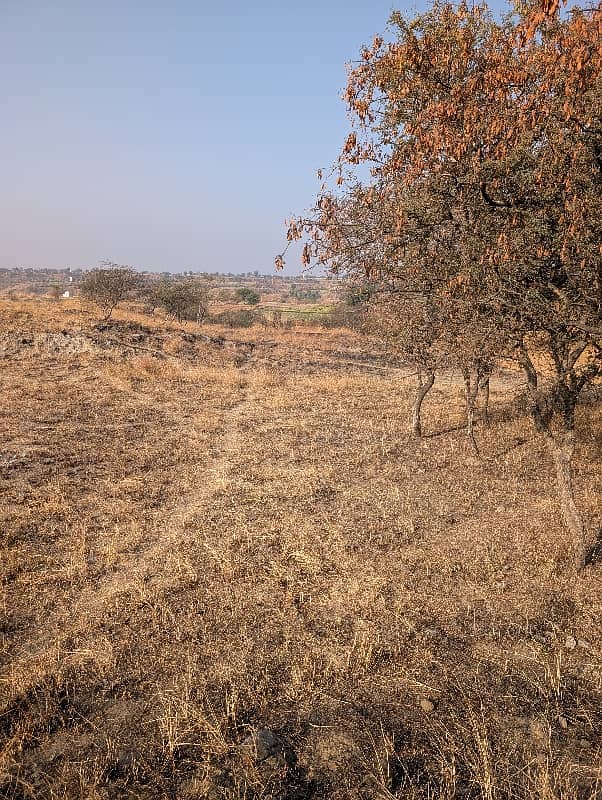 106 کنال رقبہ برائے فروخت بلکسر چکوال 5