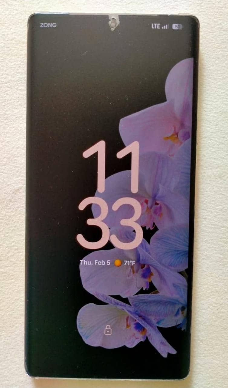 Google Pixel 6 Pro 1