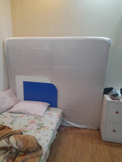 Master Molty Foam 8 inches Spring Foam