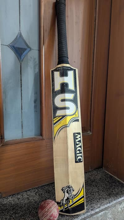 New HS Hard Ball Bat