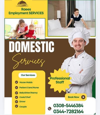 Baby Sitter , Nurse, Nanny , Drive, Chef, Maids , Couple , House maid