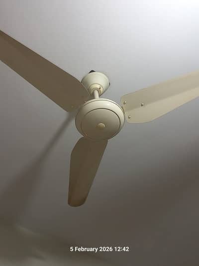 JD'S Ceiling Fan