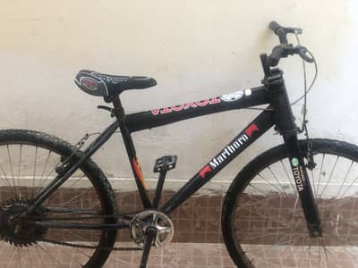 Cycle for Kids and Adults