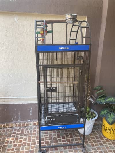Large parrot cage