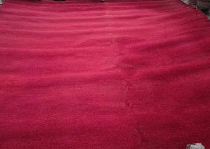 welvet mehroon carpet