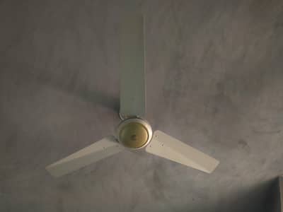 Indus ceiling fan 10/10 condition