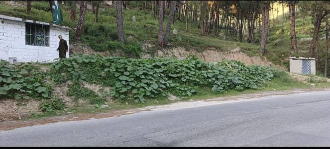 main karakuram highway with 155 front 124 depth