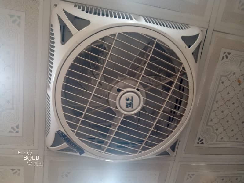 ceiling fans 1