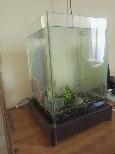 Aquarium for sale with fish