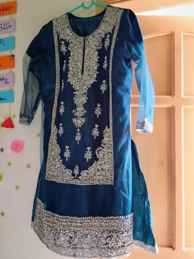 fancy function dress