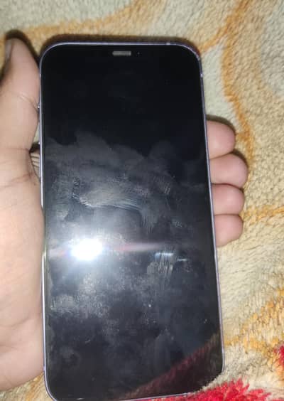 Iphone 12 pta approved