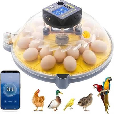 best incubator for parrots