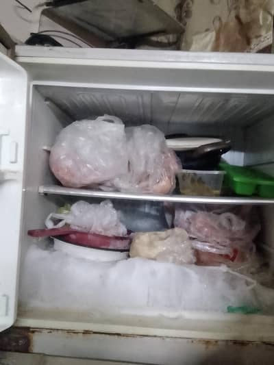 bilkul Sahi hai useai hai