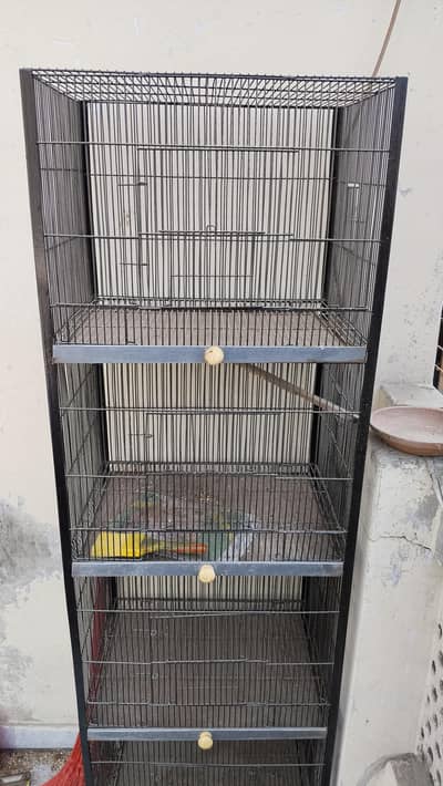 Tall Multi-Level Metal Bird Cage