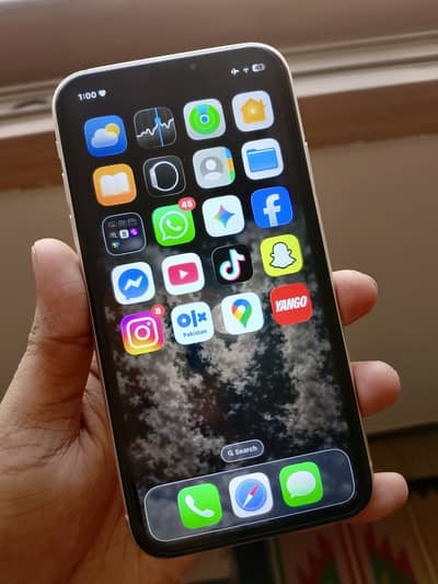 iPhone 11 Jv Airtight Waterpack Bulbul Condition