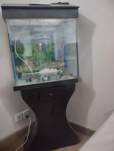 best fish tank for use  with essentials