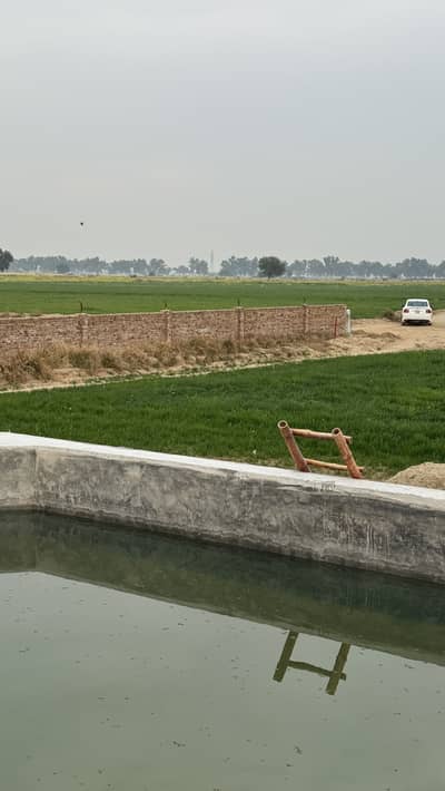 28 kanal Land With House