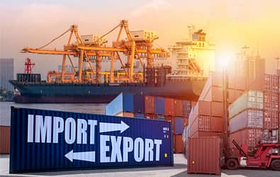 Female Office Assistant