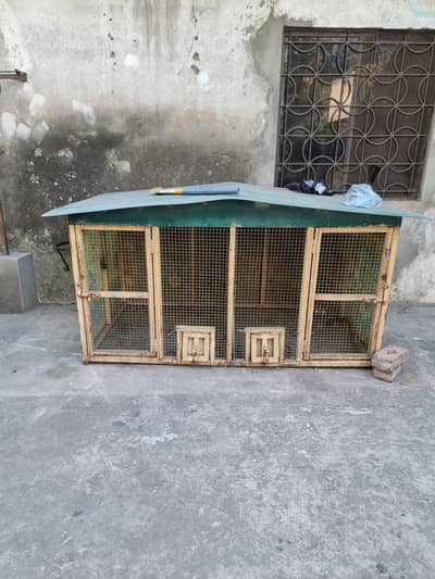 Birds cage for sale
