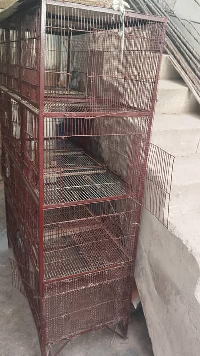 12 khano wala pinjraha ha 2bay 1k ha taqrebn.