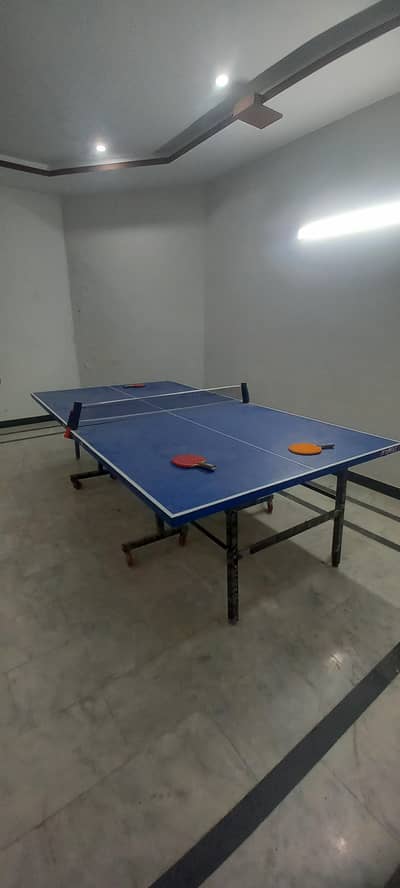 Table Tennis