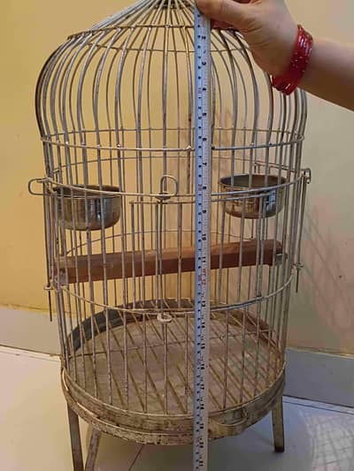 parrot cage