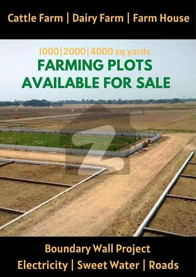 Farmhouse & Cattlefarm Land