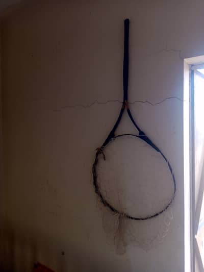 Birds Nets to catch easily Birds