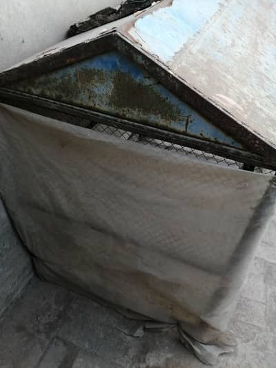 aseel murga pinjra for sale 03094770423