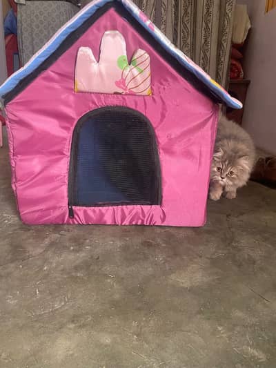 Cat house