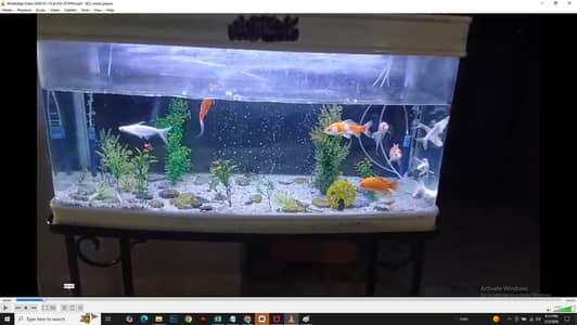 High Quality imported Glass Aquarium 4 foot long complete setup