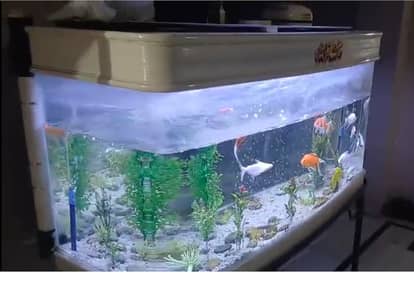 High Quality imported Glass Aquarium 4 foot long complete setup