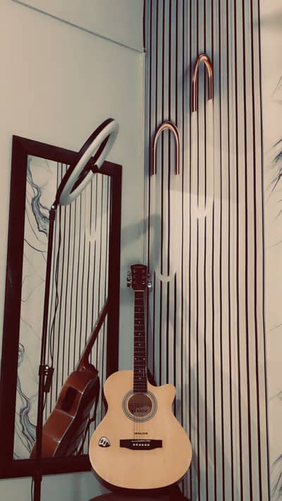 Classic professional guitar