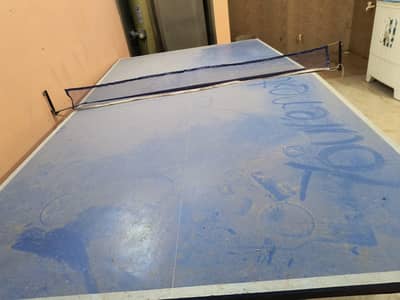 Table Tennis Table