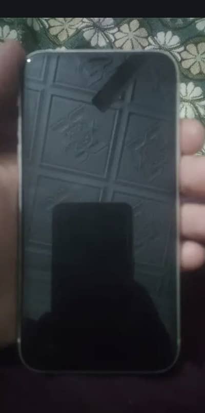 iphone 11 offical pta approved