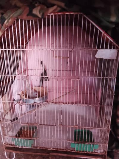 main apna cage sale kar raha hun