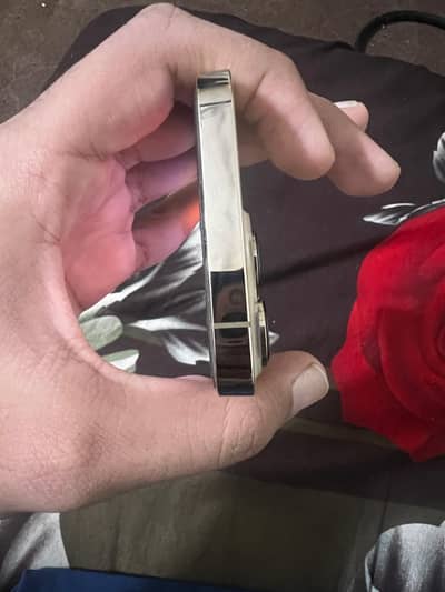 Iphone 13 pro lush condition