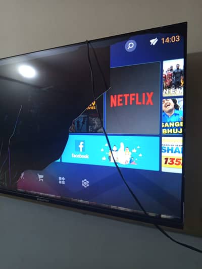 Multynet LED 44 inches just panel issue