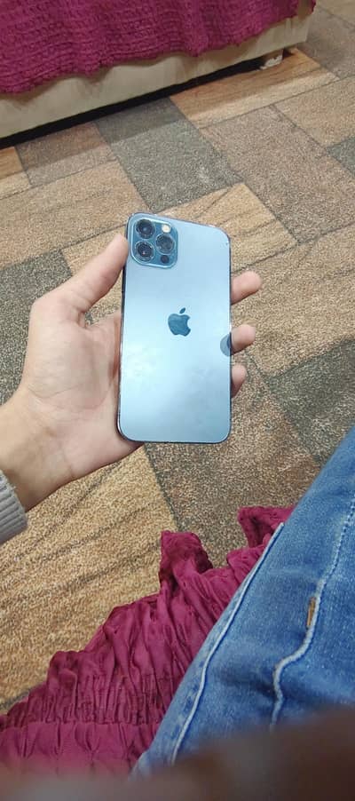 whatsapp number 03319613377