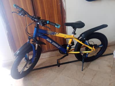 SK sports bicycle