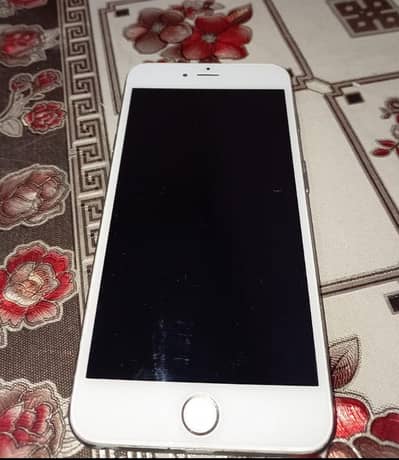 Battery Health 100 %