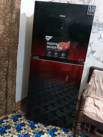 Haier freezer