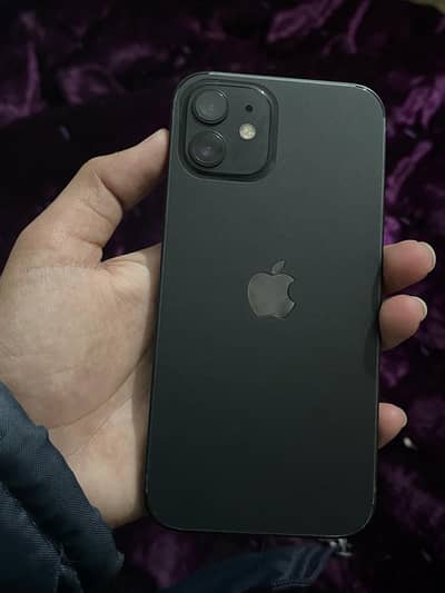 iPhone 12 Factory Unlock