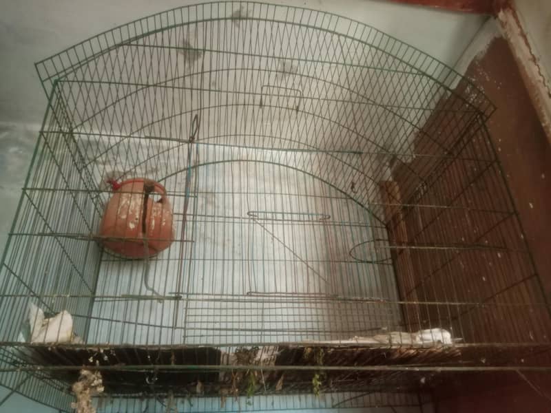 Big Cage 0