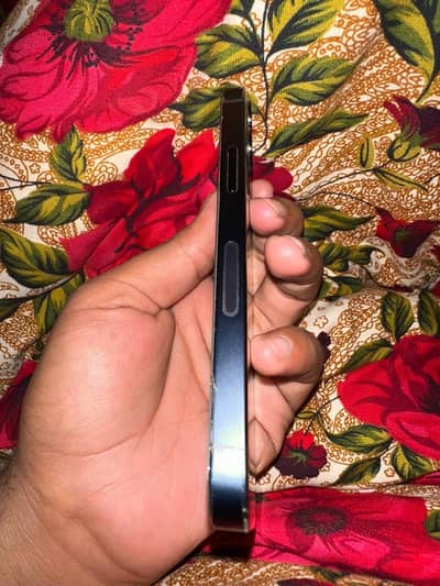 iPhone 12 mini number 03286986123