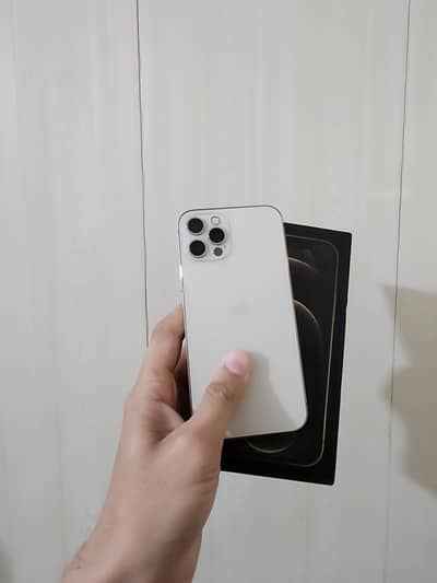 Iphone 12 pro  Dual pta approved