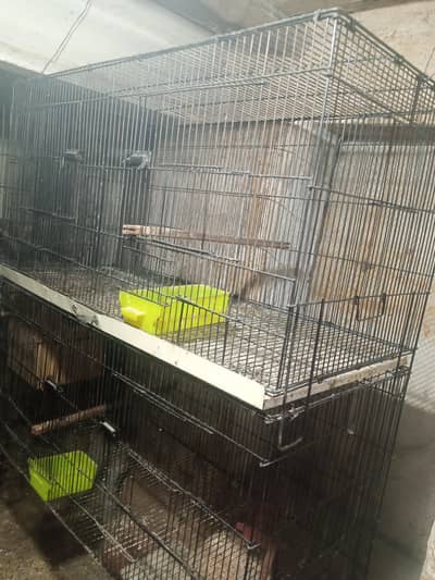 parrot folding cage for sale argent