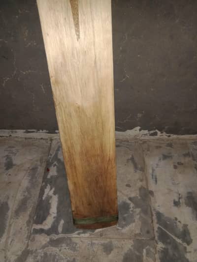 HardBoll Bet For Sale