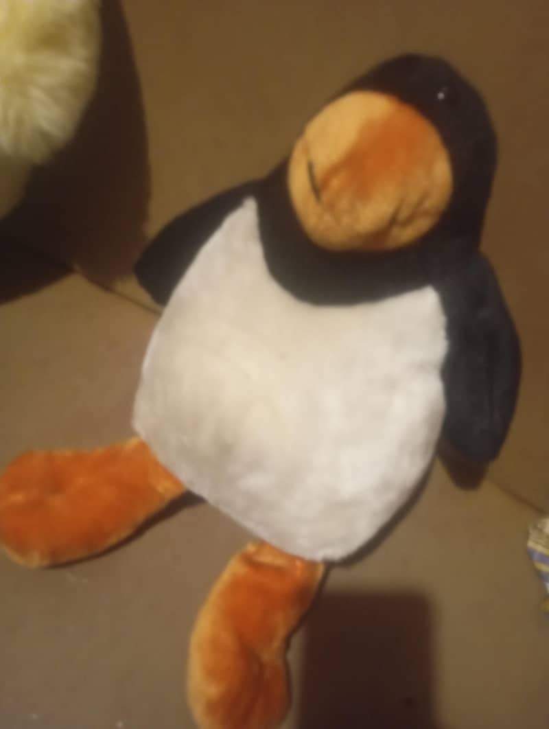 penguin 1