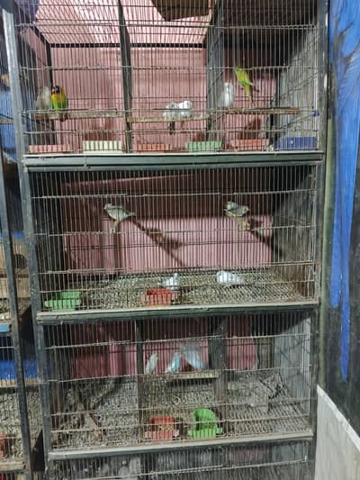 cage for sale